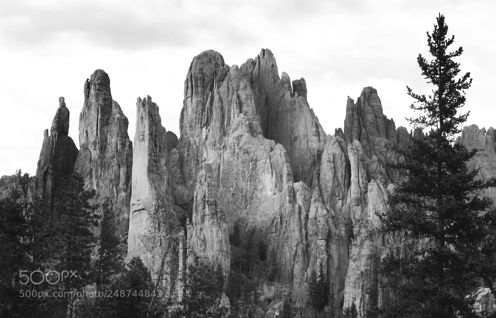 Canon PowerShot SX60 HS sample photo. Needles highway photography