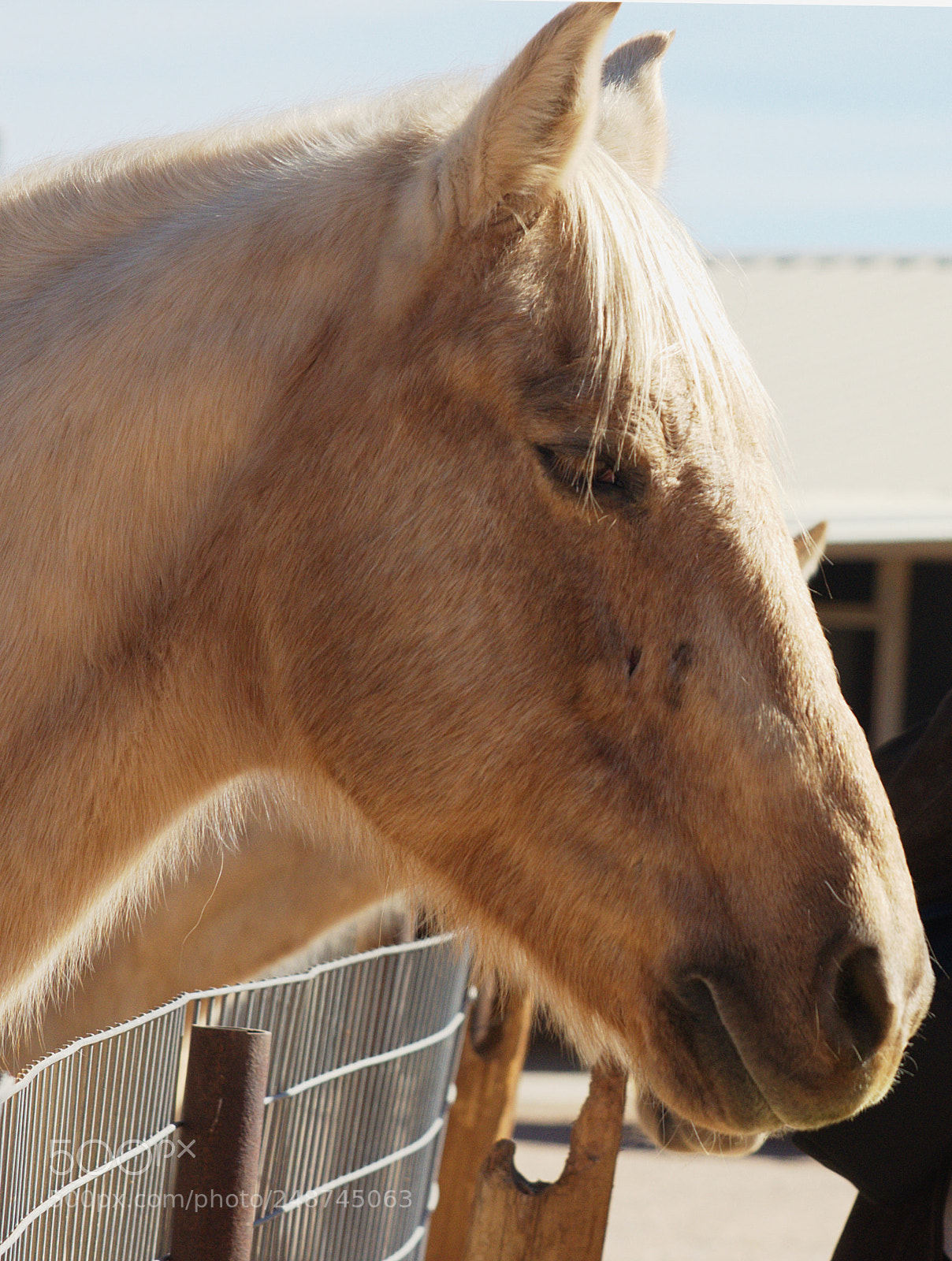 Nikon D5100 sample photo. Trigo photography