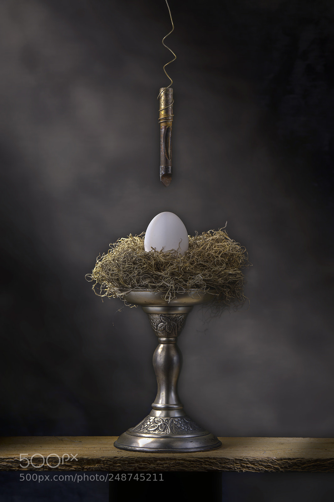 Nikon D7100 sample photo. Bird nest and egg photography