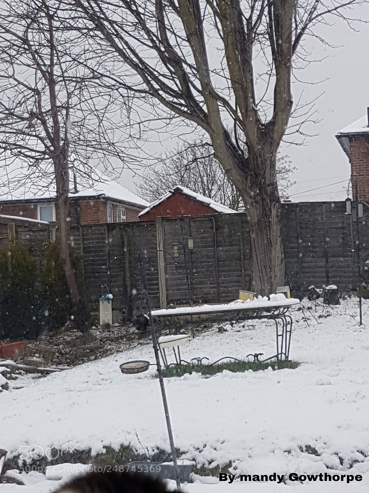 Samsung Galaxy S7 Edge sample photo. Snow photography