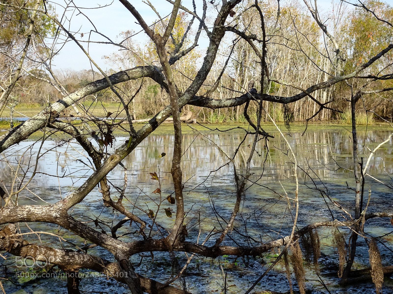 Sony Cyber-shot DSC-HX80 sample photo. Oh, nooooo it's a photography