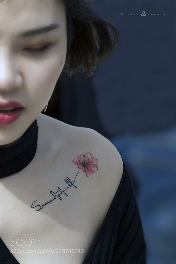 Nikon D7100 sample photo. Signature photography