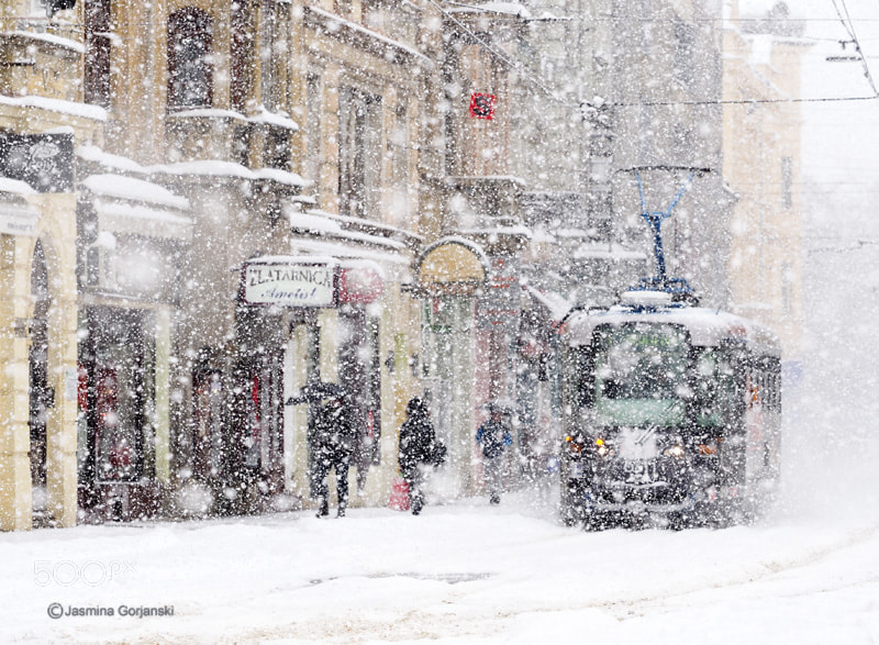 Olympus OM-D E-M1 Mark II sample photo. Through the blizzard photography