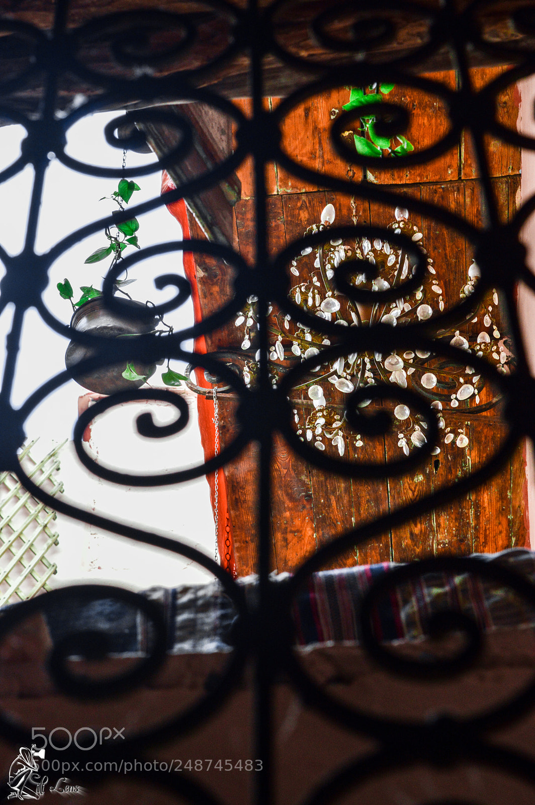 Nikon D3200 sample photo. Untitled photography