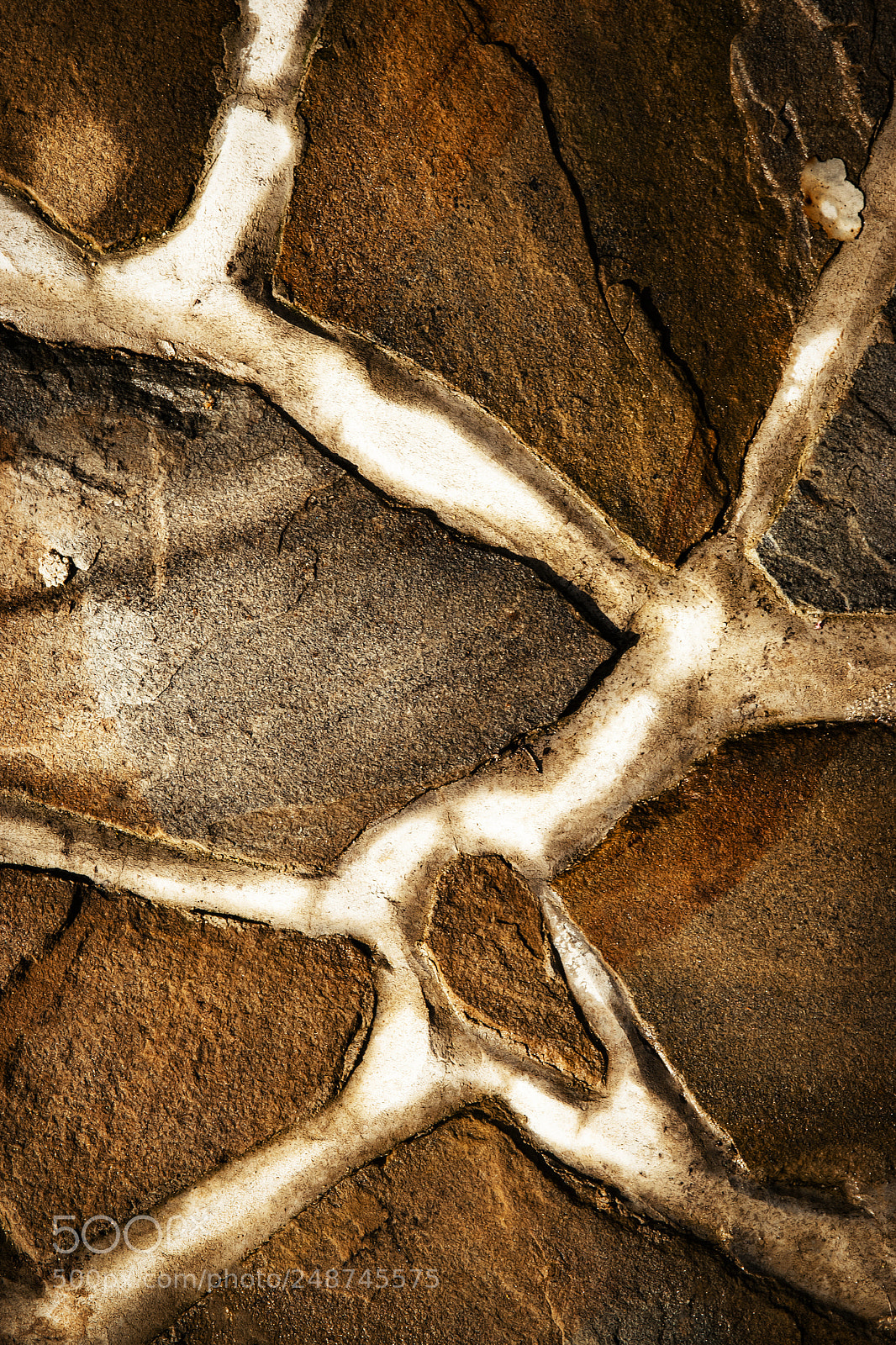 Nikon D5500 sample photo. Detail of sandstone stone photography