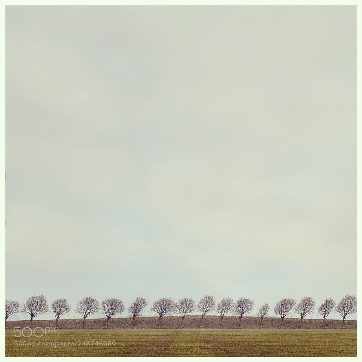 Canon EOS 600D (Rebel EOS T3i / EOS Kiss X5) sample photo. Dutch landscape photography