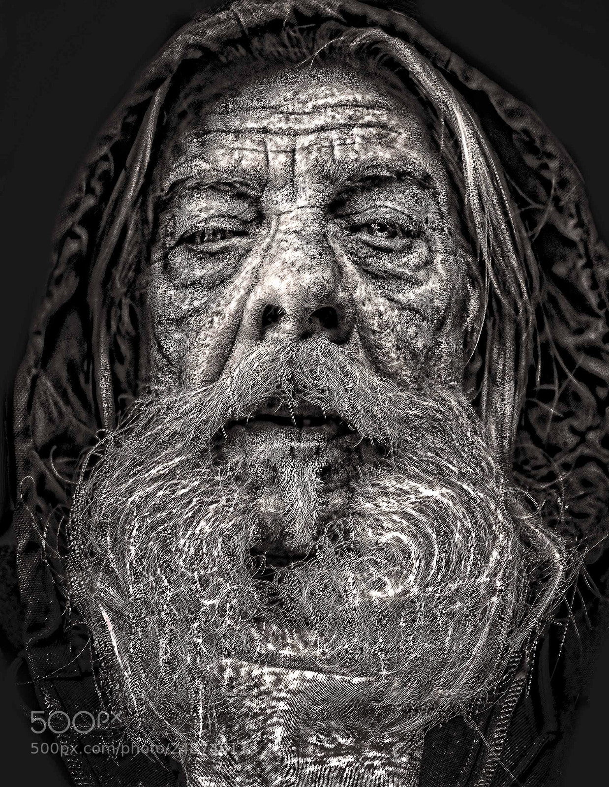Nikon D800 sample photo. Fiery temper photography