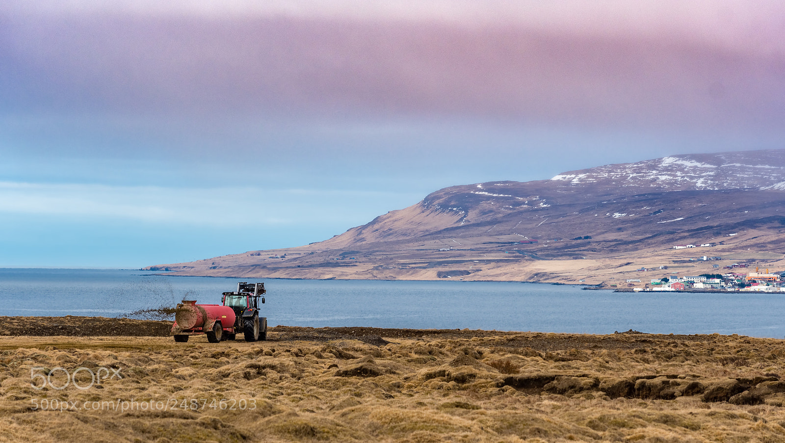 Nikon D500 sample photo. Farming on iceland photography