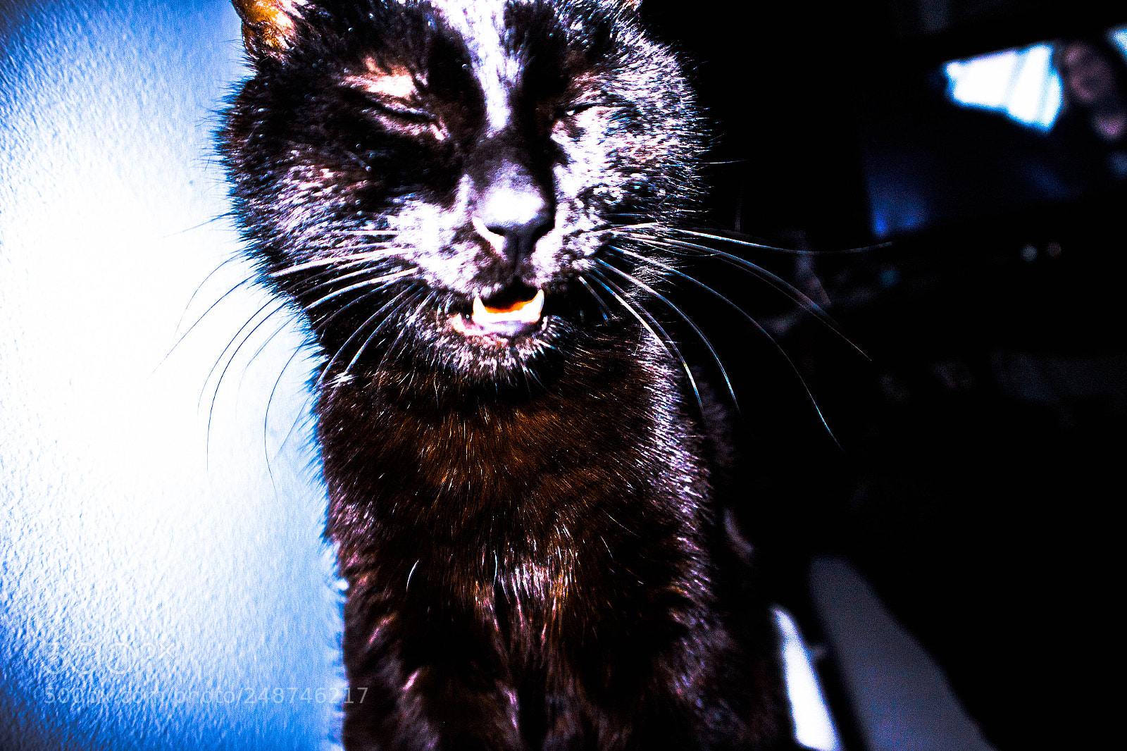 Canon EOS M10 sample photo. Don't shoot me! photography