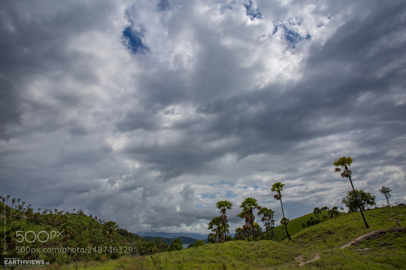 Canon EOS 6D sample photo. First hills of paradise (3320) photography