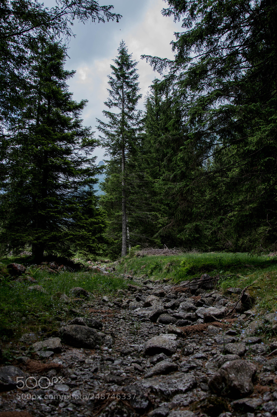 Nikon D3200 sample photo. Untitled photography