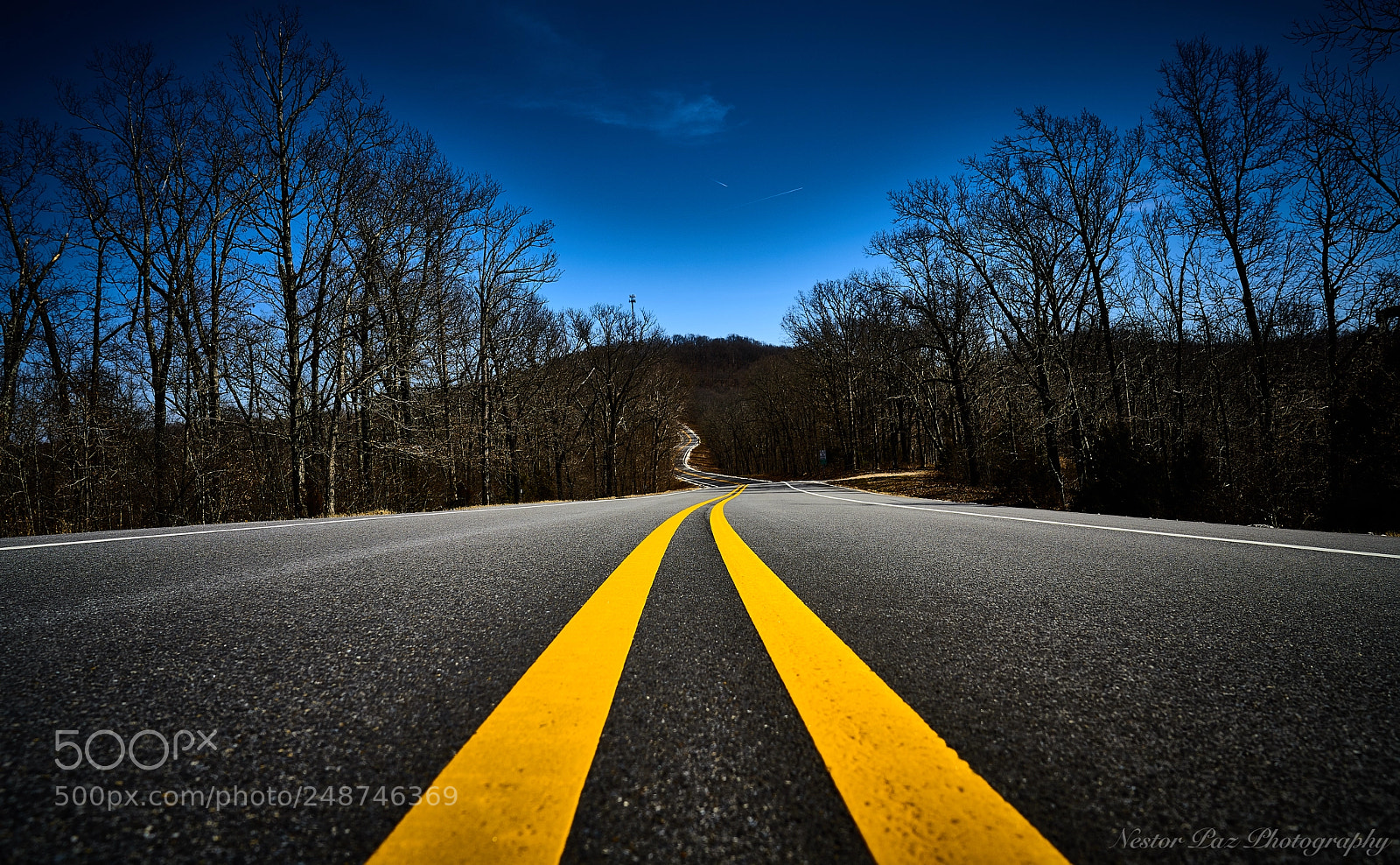 Sony a7R III sample photo. Untitled photography