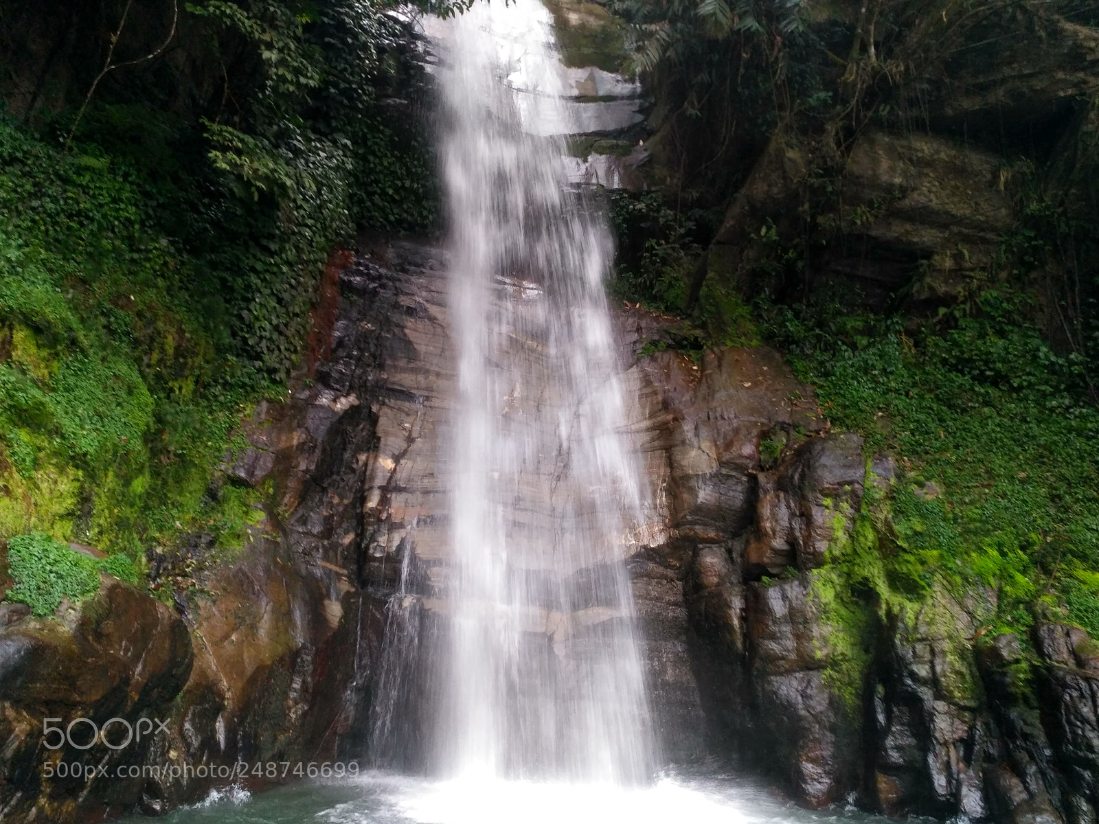 Xiaomi Redmi 3S sample photo. Hdr photography
