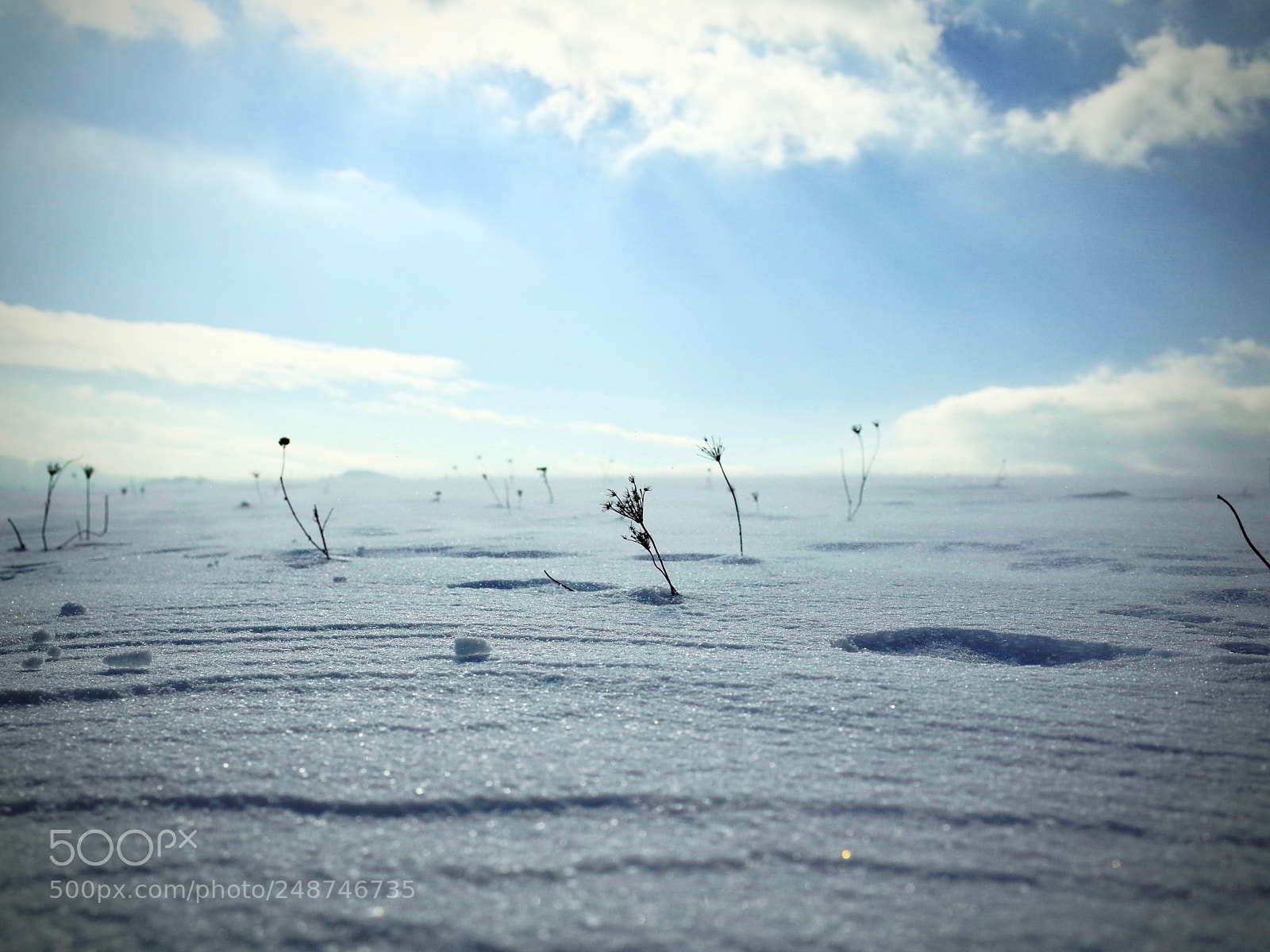 Ricoh GR sample photo. Slatvina in winter photography