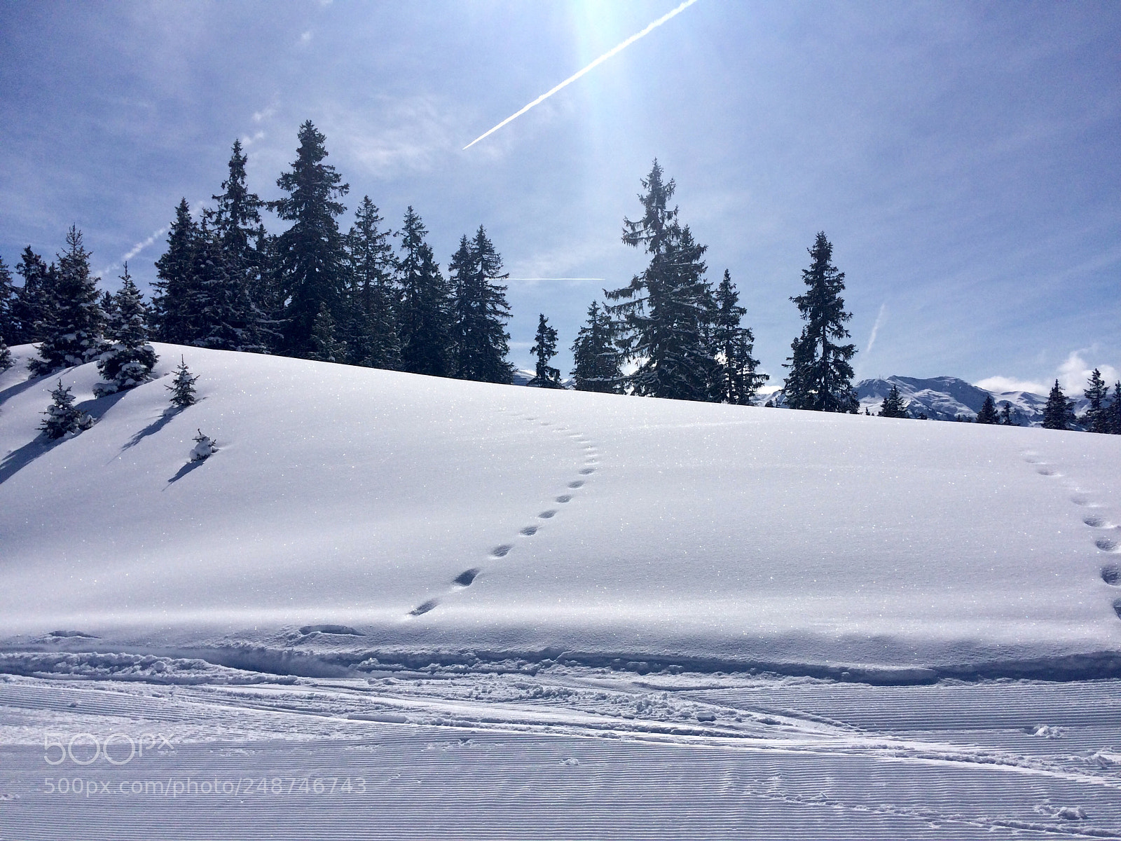 Apple iPhone 5s sample photo. Winter wonderland ❄️ photography