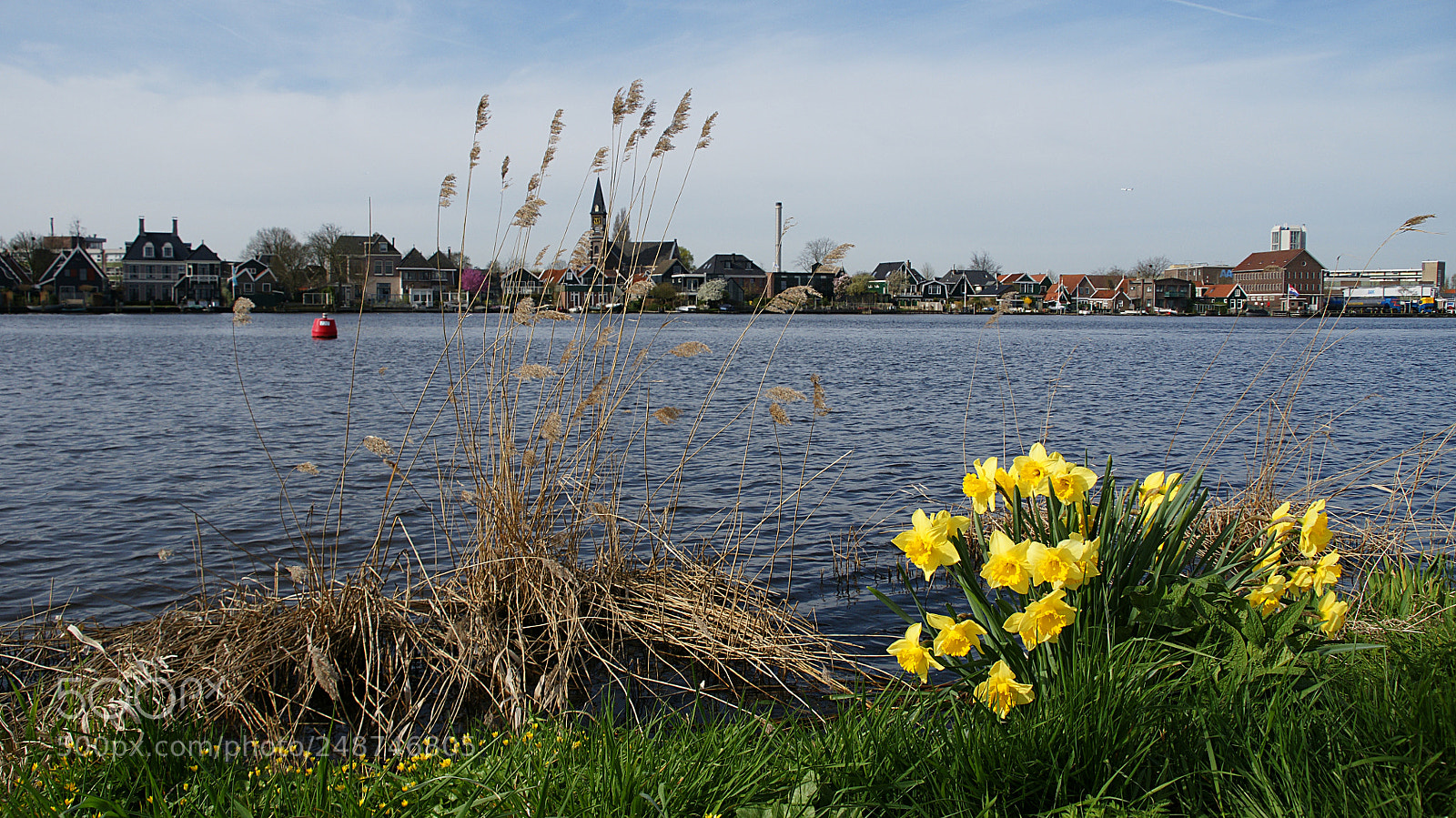 Sony Alpha DSLR-A700 sample photo. Town-river-flowers photography