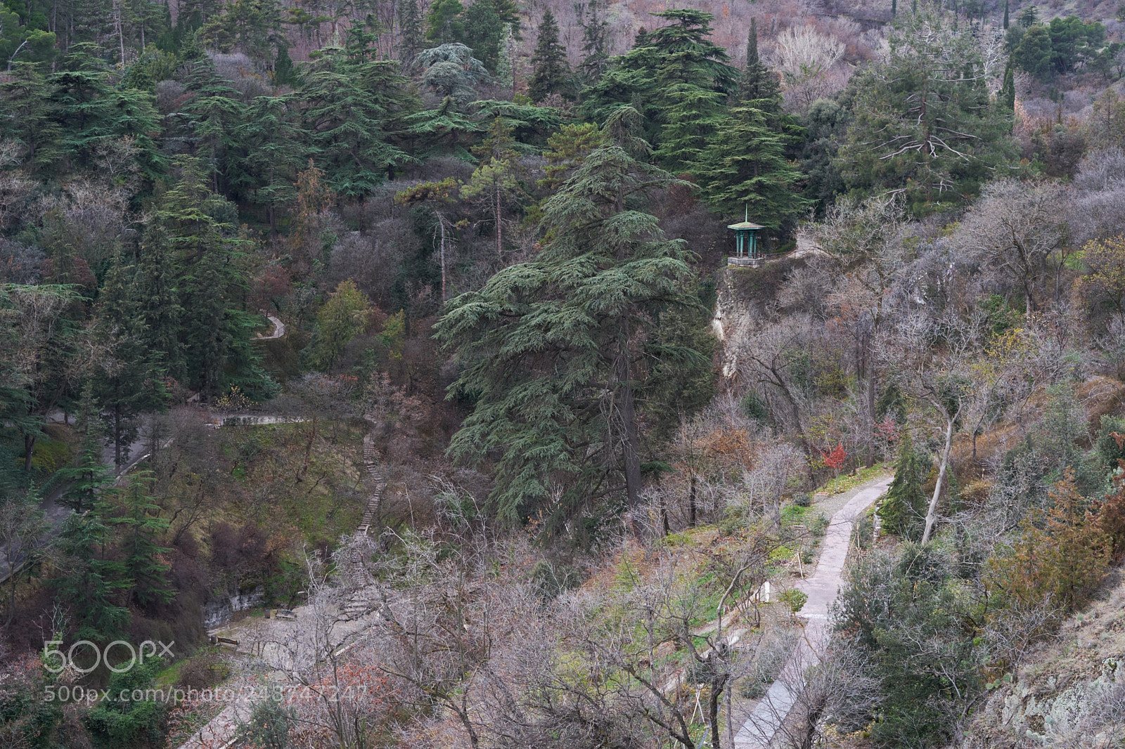 Sony a7 II sample photo. Botanical garden, tbilisi photography