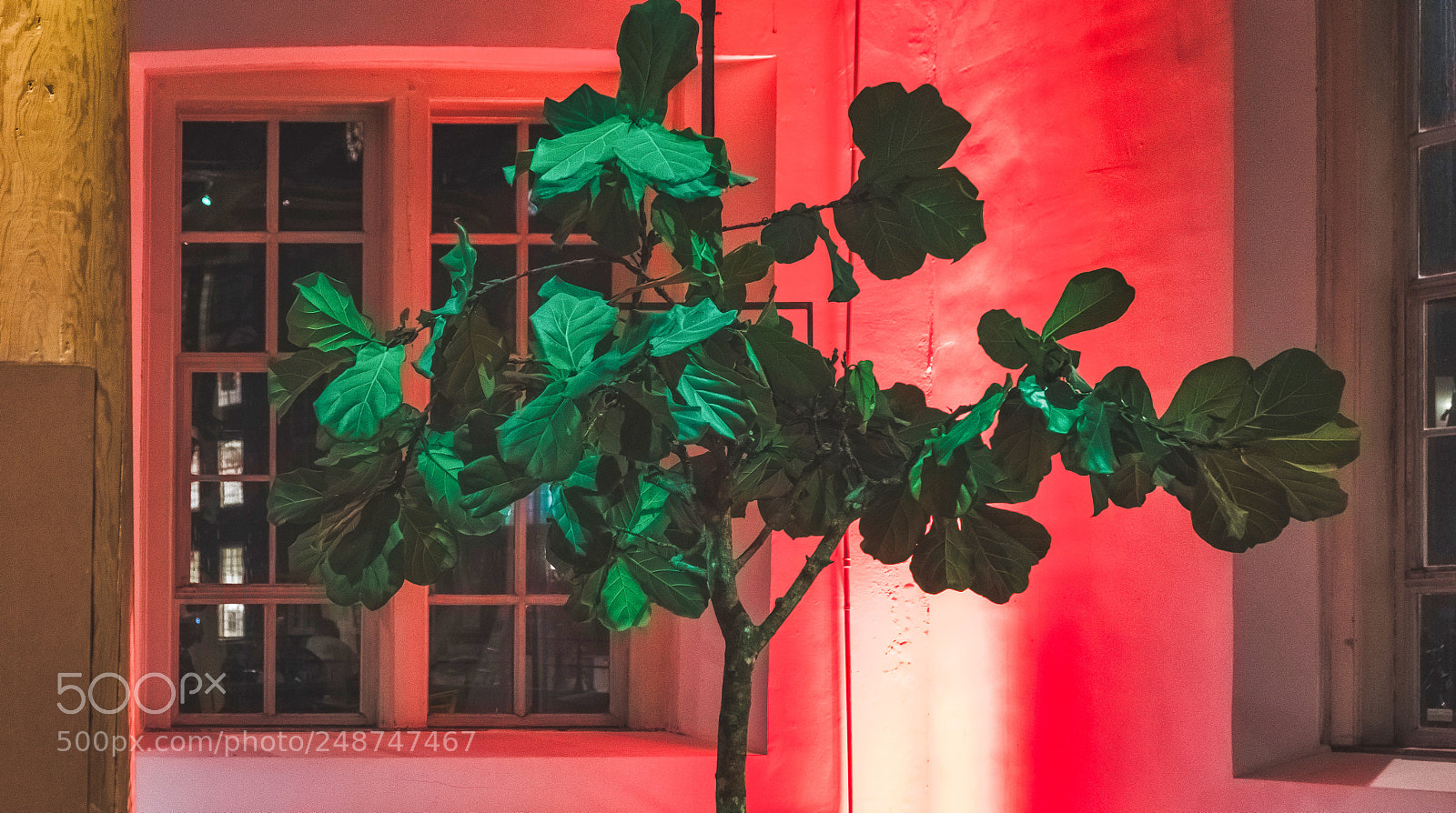 Fujifilm X-T20 sample photo. Interior of dutch theater photography