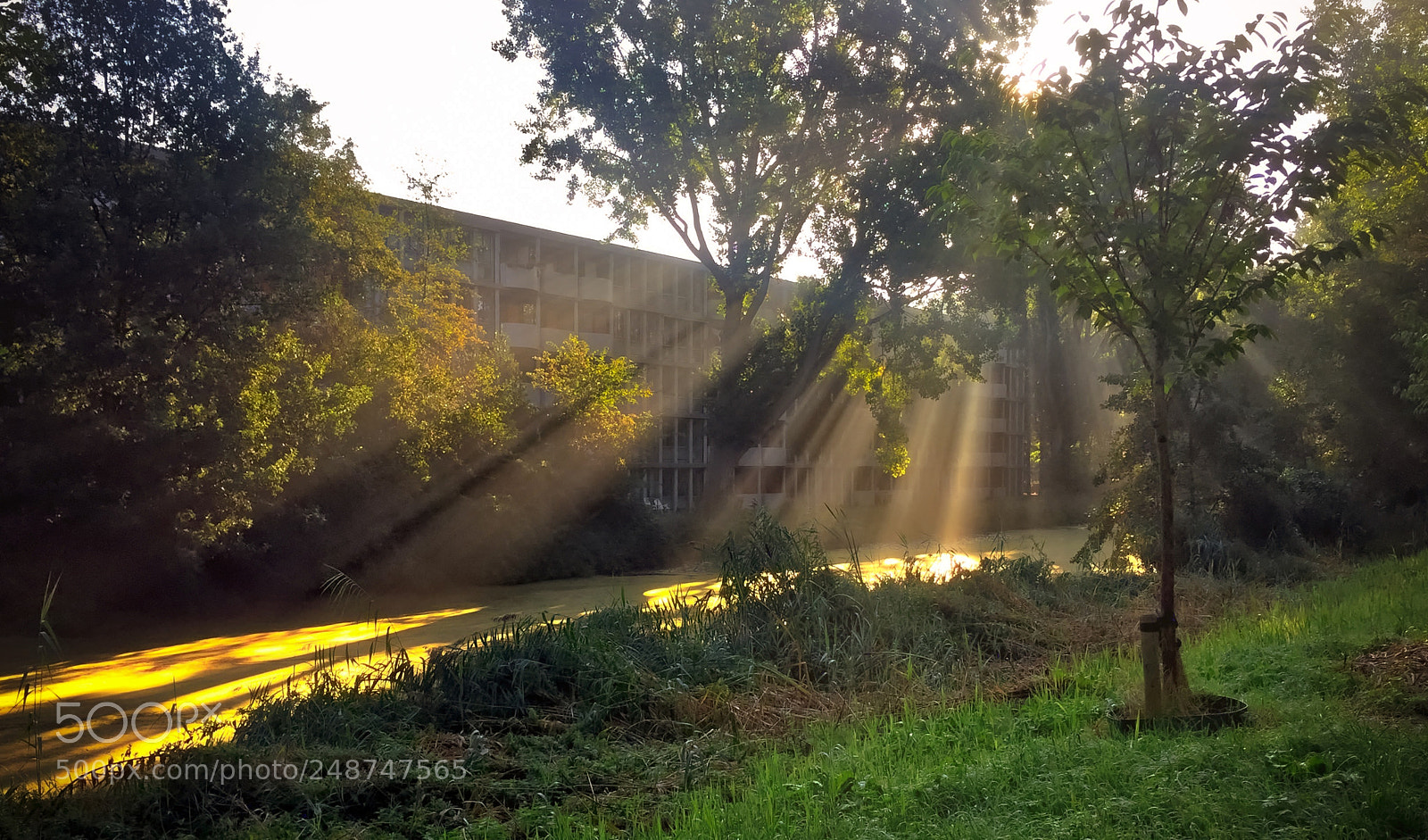 Apple iPhone 6 sample photo. Sunset in the city photography