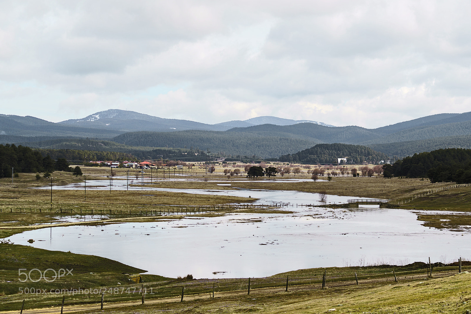 Sony a7R III sample photo. Dsc photography