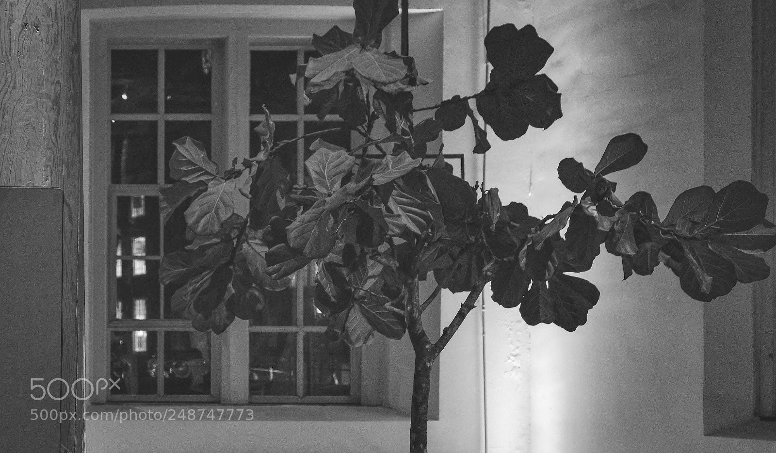 Fujifilm X-T20 sample photo. Interior of dutch theater photography