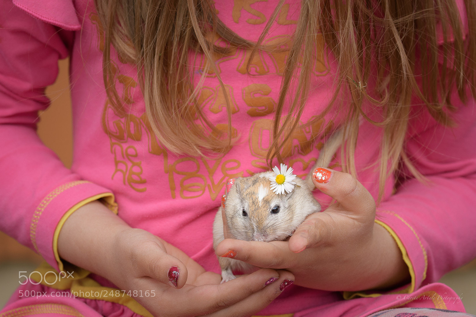 Nikon D500 sample photo. The beauty queen photography