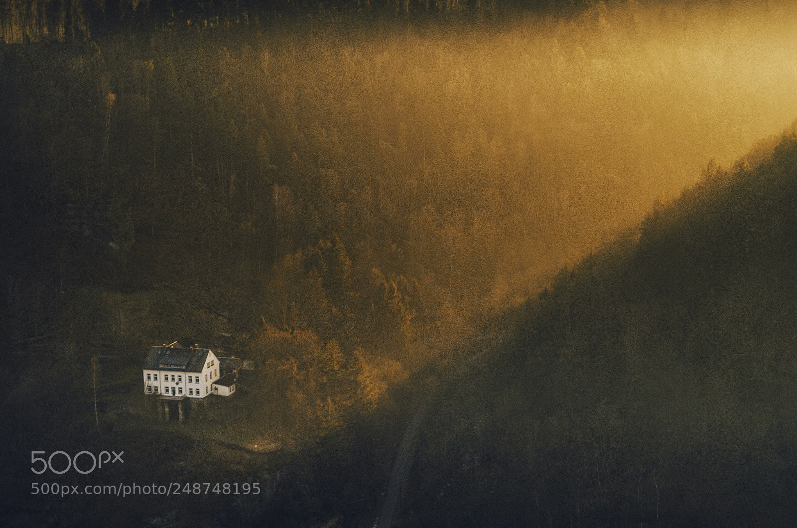 Pentax K-50 sample photo. Foggy sunset photography