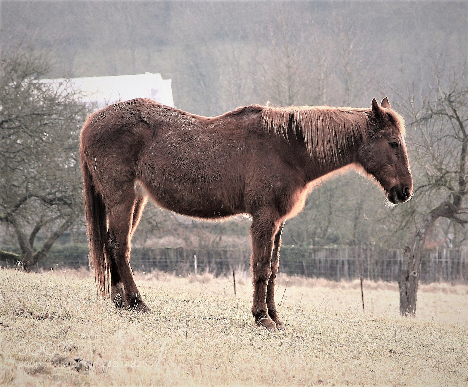 Canon EOS 5D sample photo. Img photography