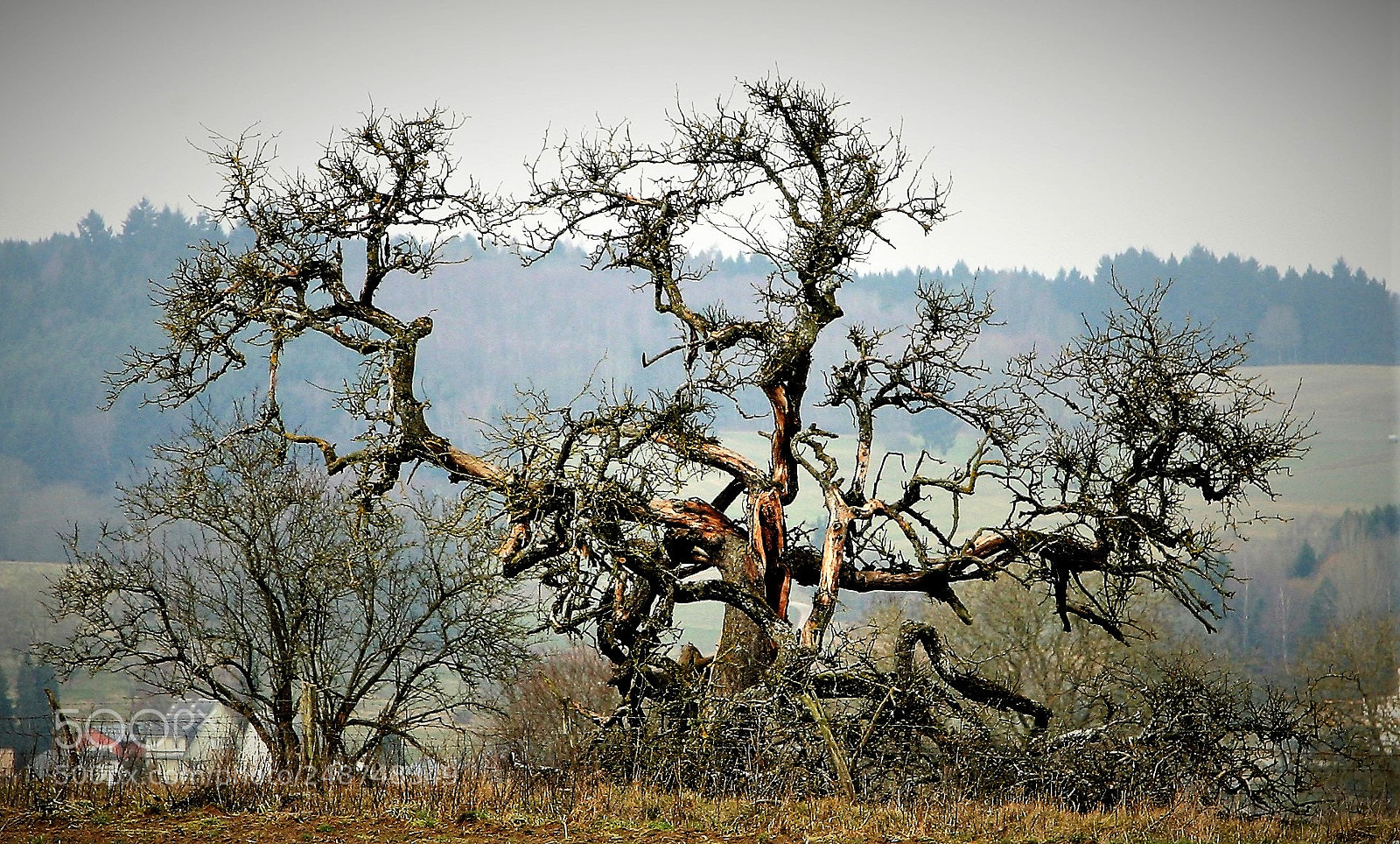 Canon EOS 5D sample photo. Img photography