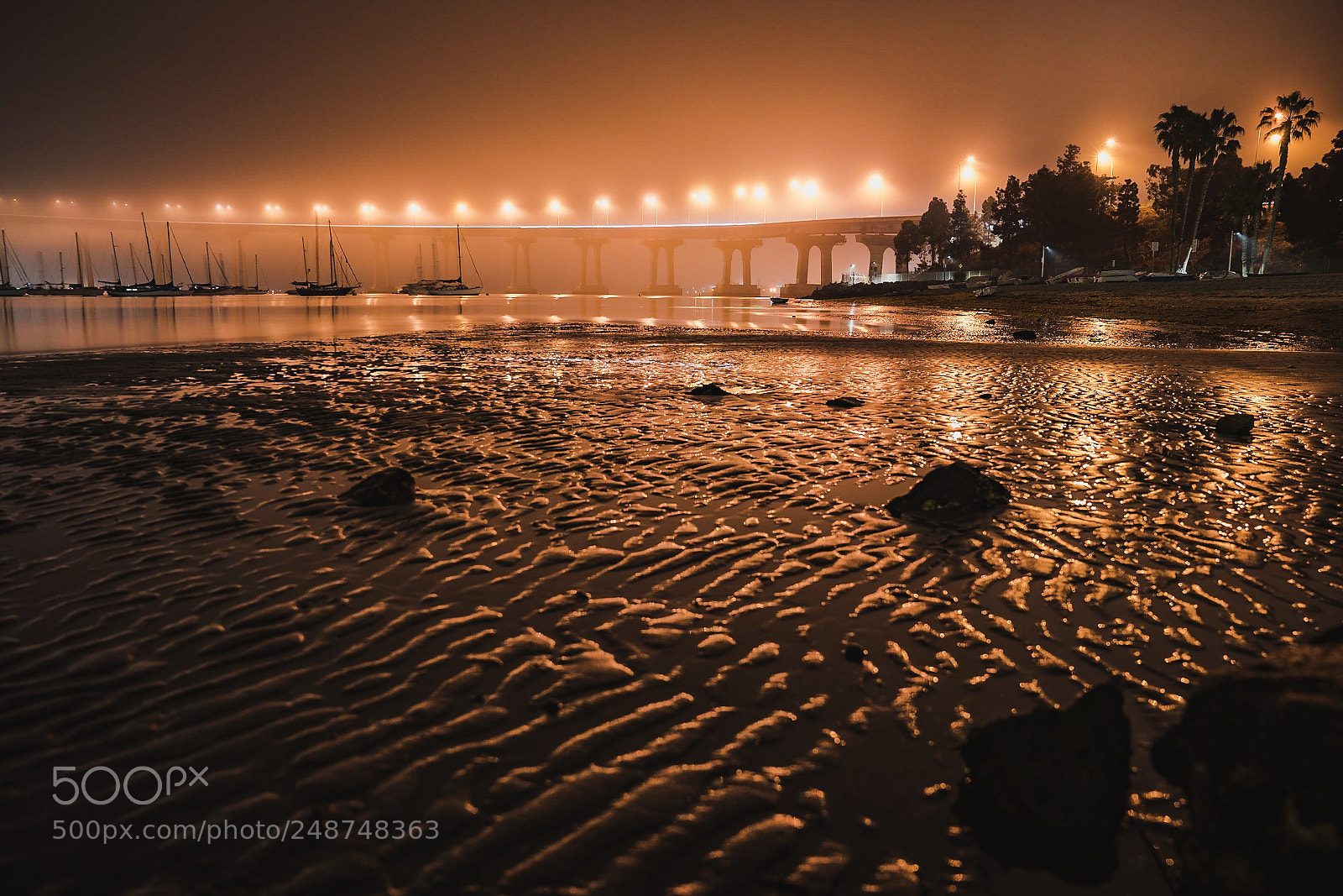 Sony a7R II sample photo. Foggy night photography