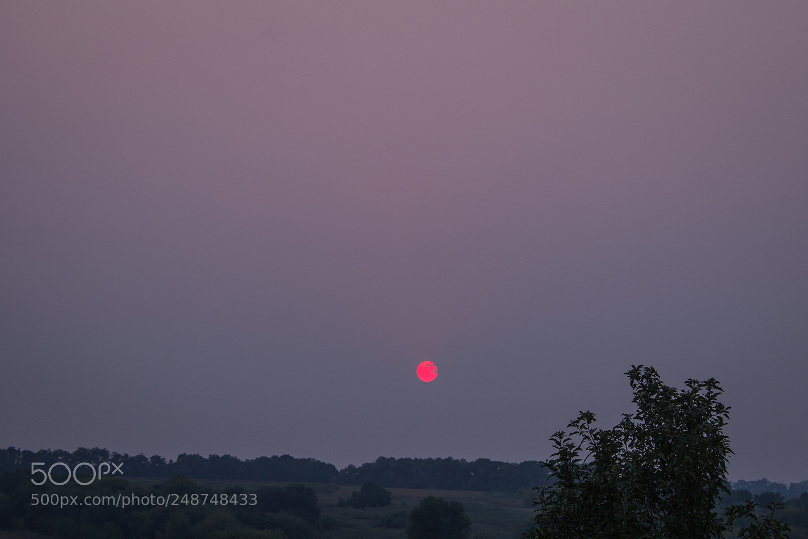 Canon EOS 600D (Rebel EOS T3i / EOS Kiss X5) sample photo. Red sun photography