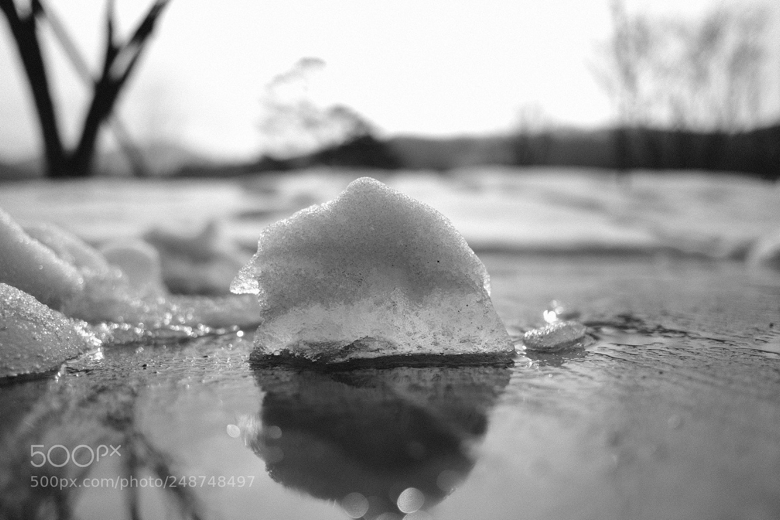 Fujifilm X-Pro2 sample photo. Untitled photography