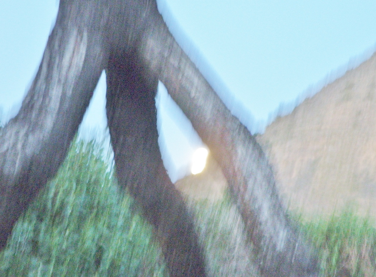 Olympus SP-565UZ sample photo. Full moon photography