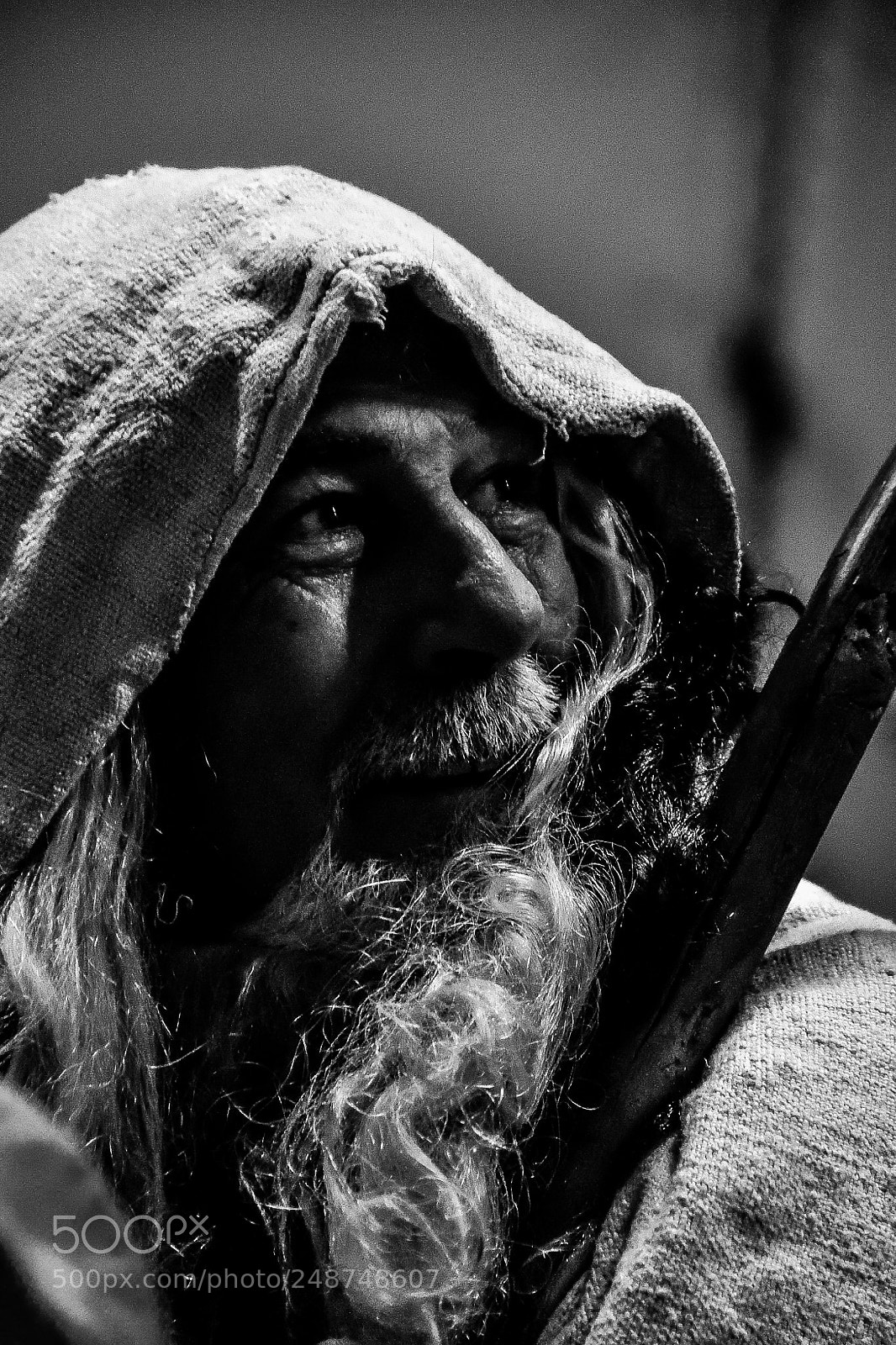 Nikon D500 sample photo. El druida photography
