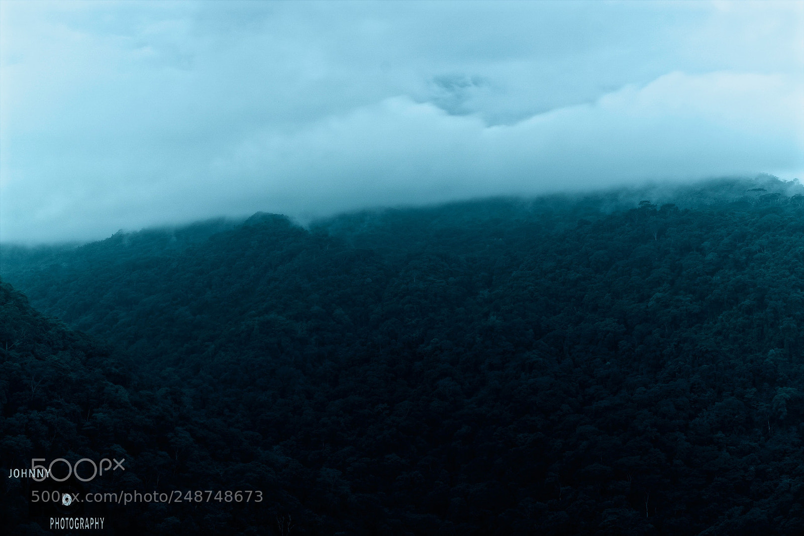 Sony a6000 sample photo. Jungle. photography