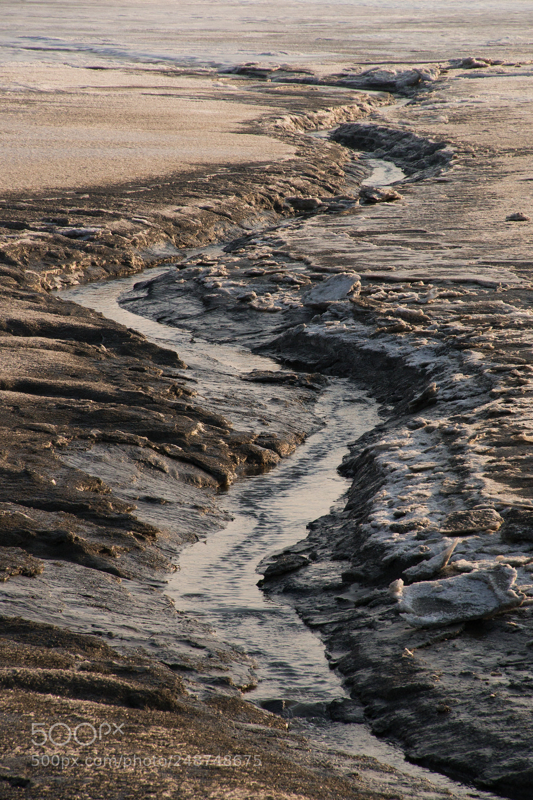 Sony SLT-A99V sample photo. Winter wadden photography