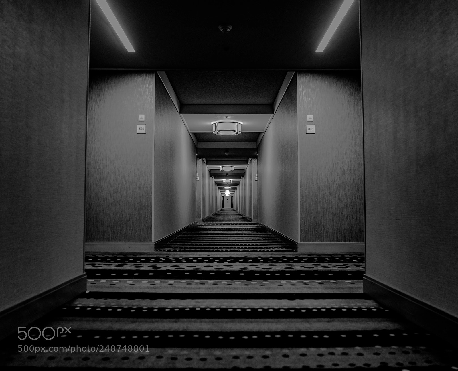 Sony a7R II sample photo. Untitled photography