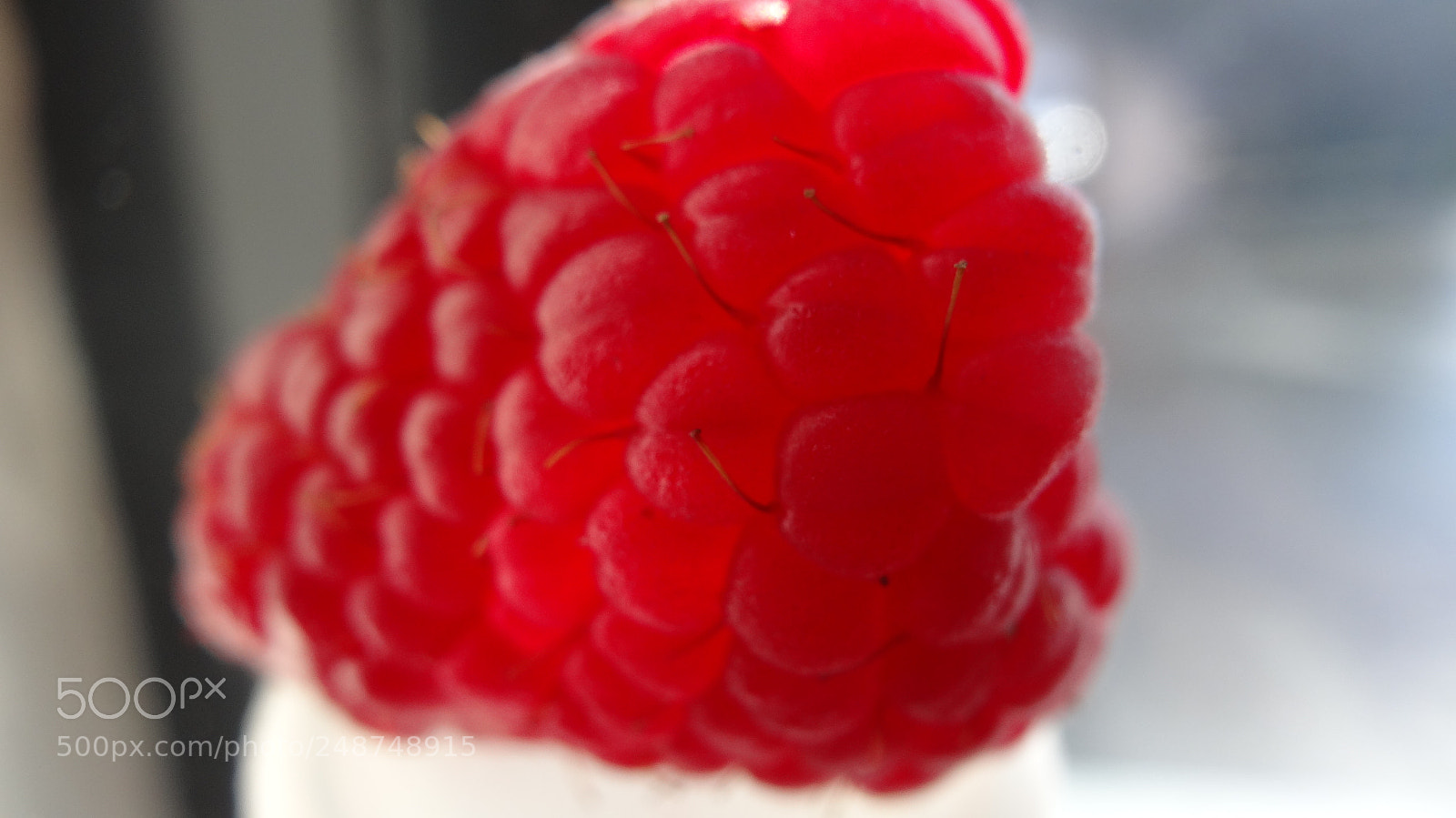 Sony Cyber-shot DSC-HX20V sample photo. Temptation photography