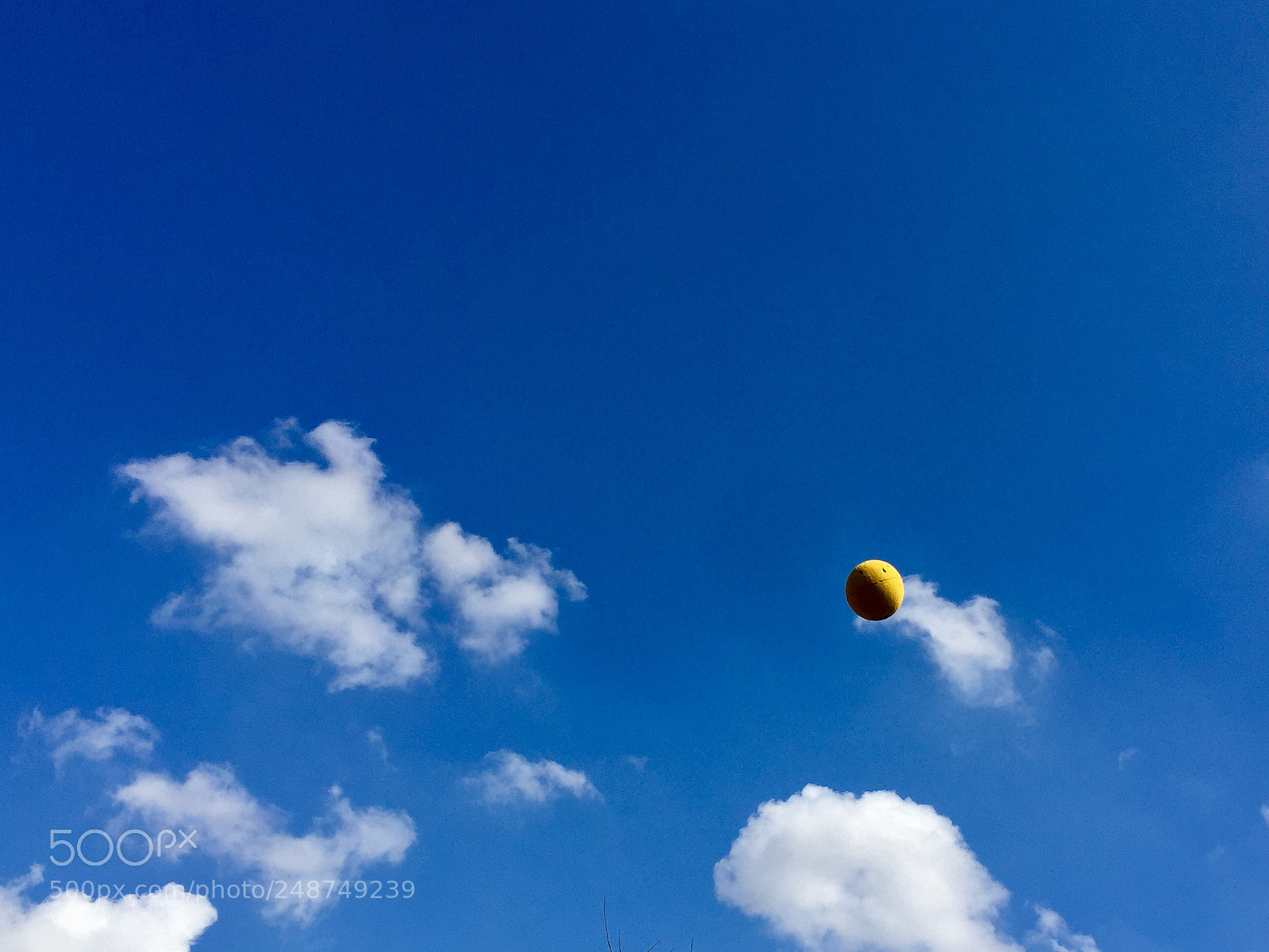 Apple iPhone 6 Plus sample photo. Giocando a palla. photography