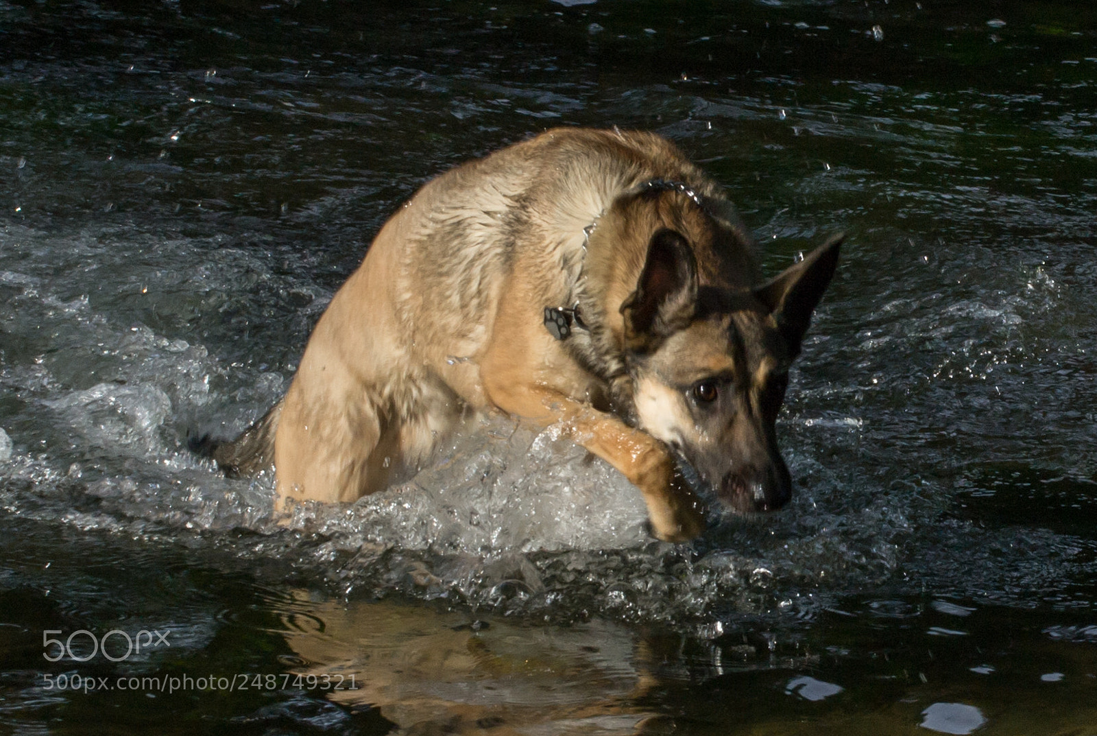 Nikon D3100 sample photo. Aska photography