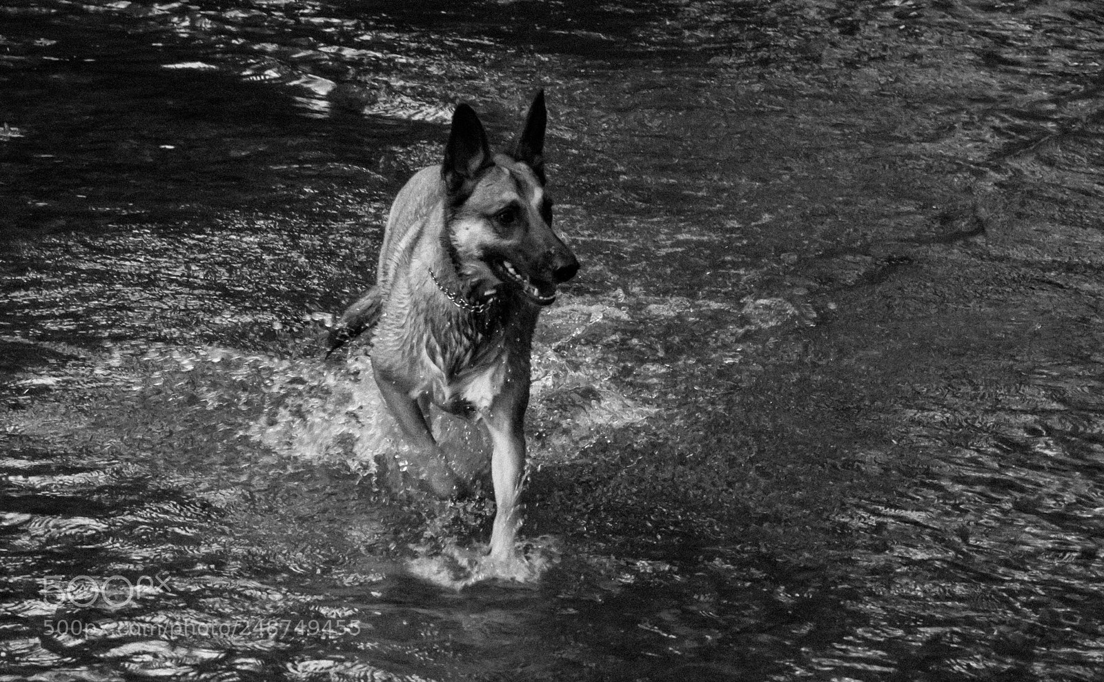 Nikon D3100 sample photo. Aska photography