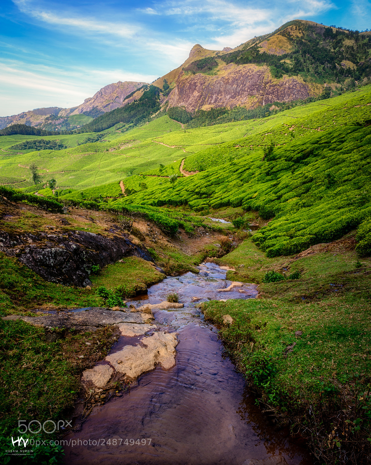 Nikon D800 sample photo. Down the stream photography
