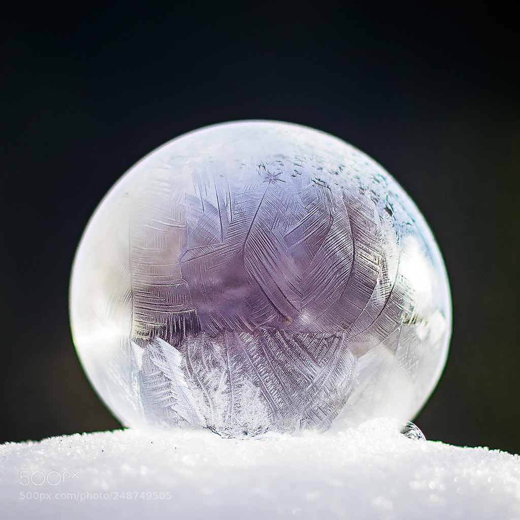 Nikon D7100 sample photo. Frozen photography