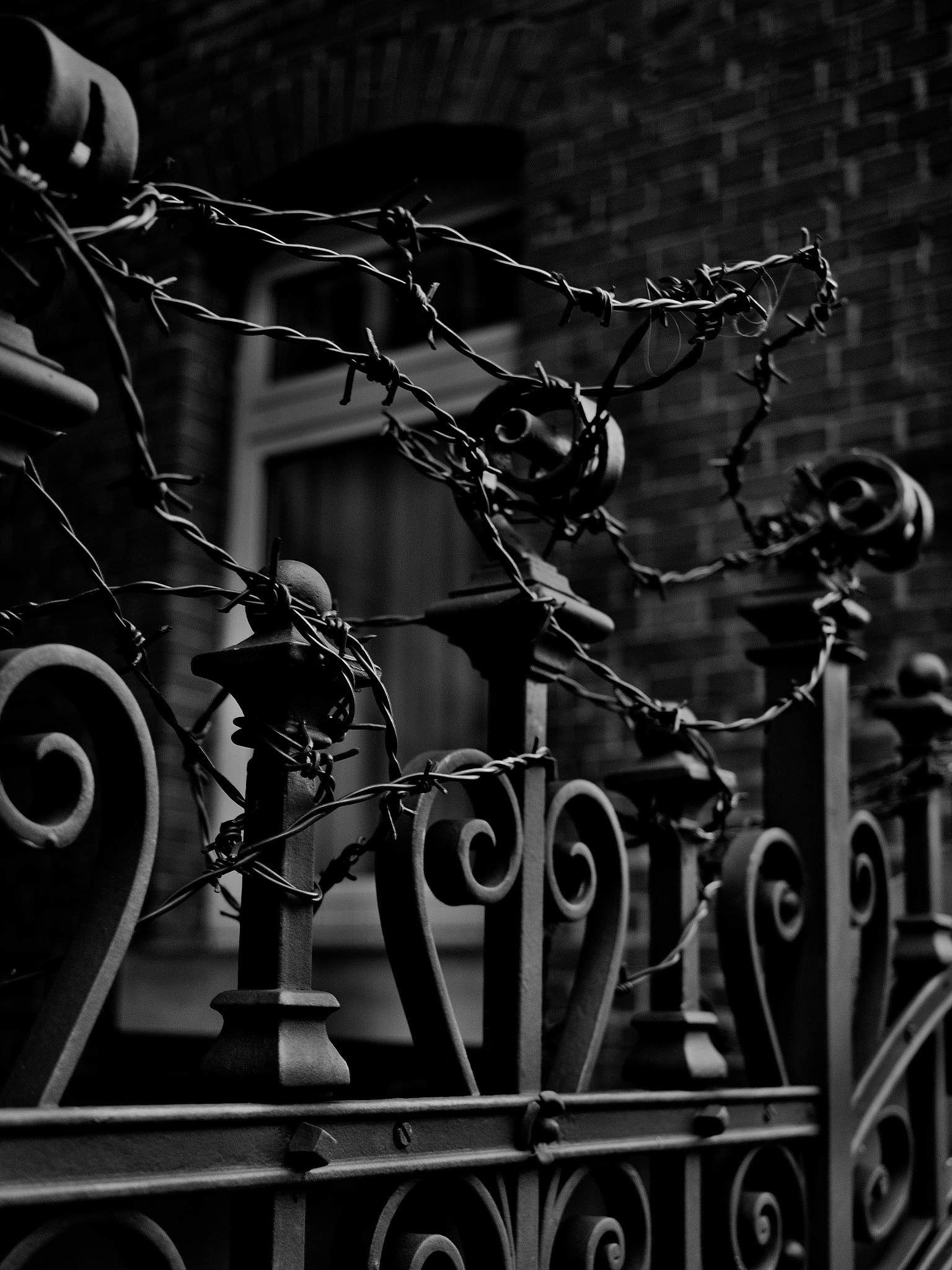 Canon EF-S 24mm F2.8 STM sample photo. Barbwire photography