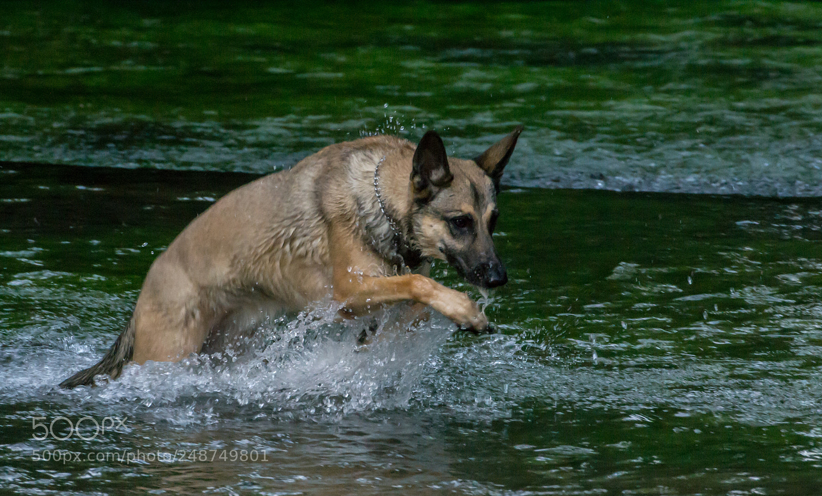 Nikon D3100 sample photo. Aska photography