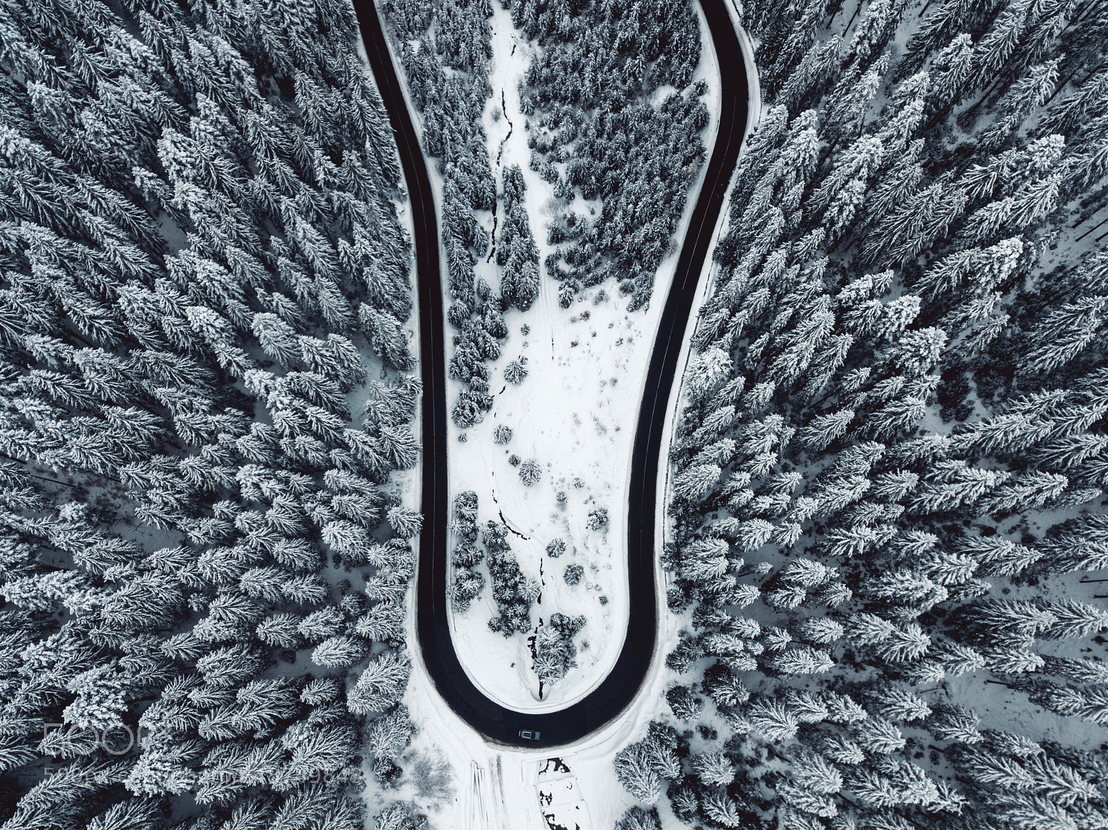 DJI FC220 sample photo. Snow covered pine trees photography