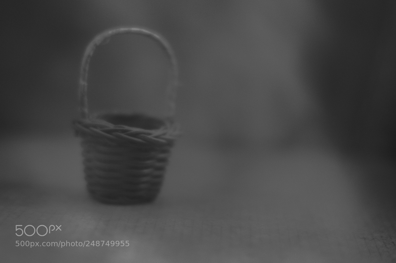 Nikon D3100 sample photo. Basket photography