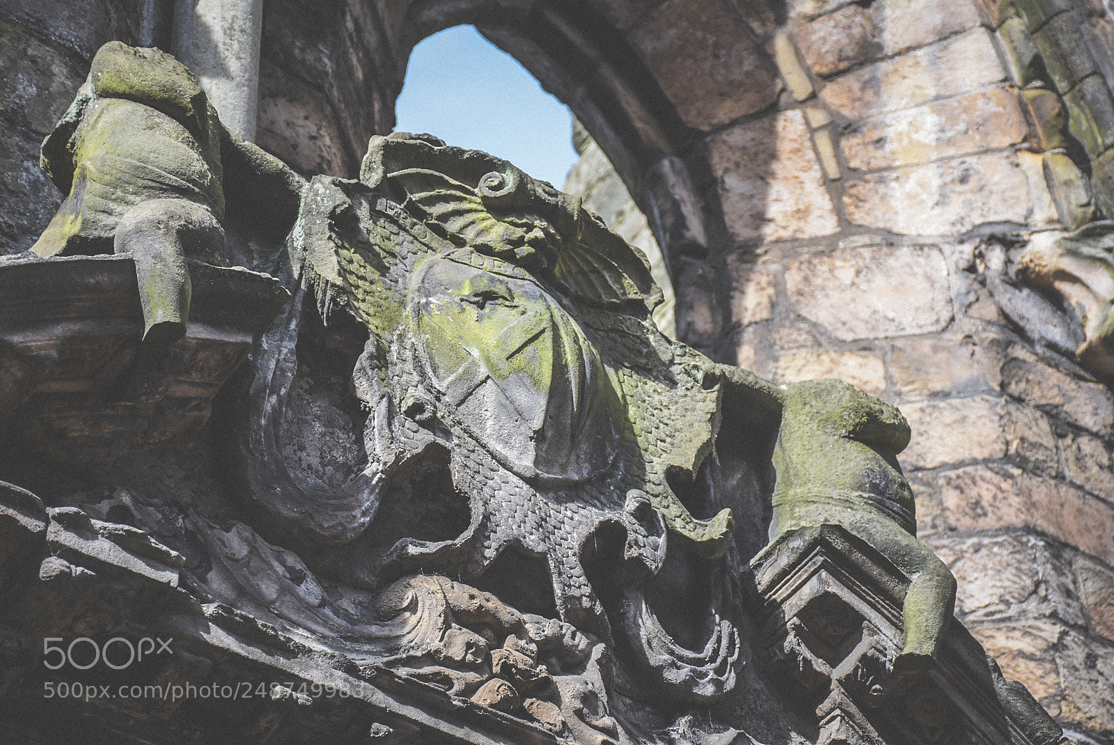 Nikon D7200 sample photo. Heraldic impressions photography