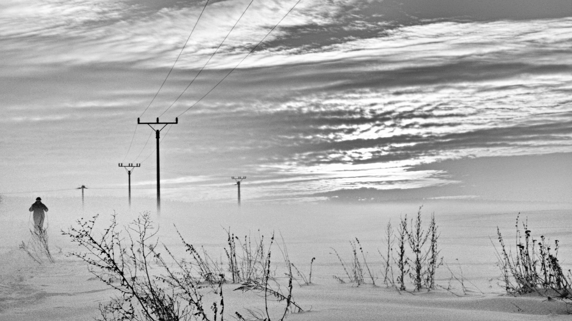 Olympus E-1 sample photo. Winter silhouettes... photography