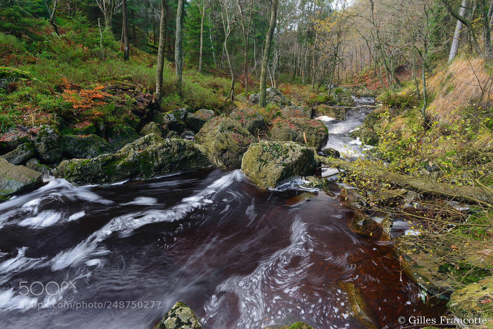 Nikon D800 sample photo. Autumn river. photography